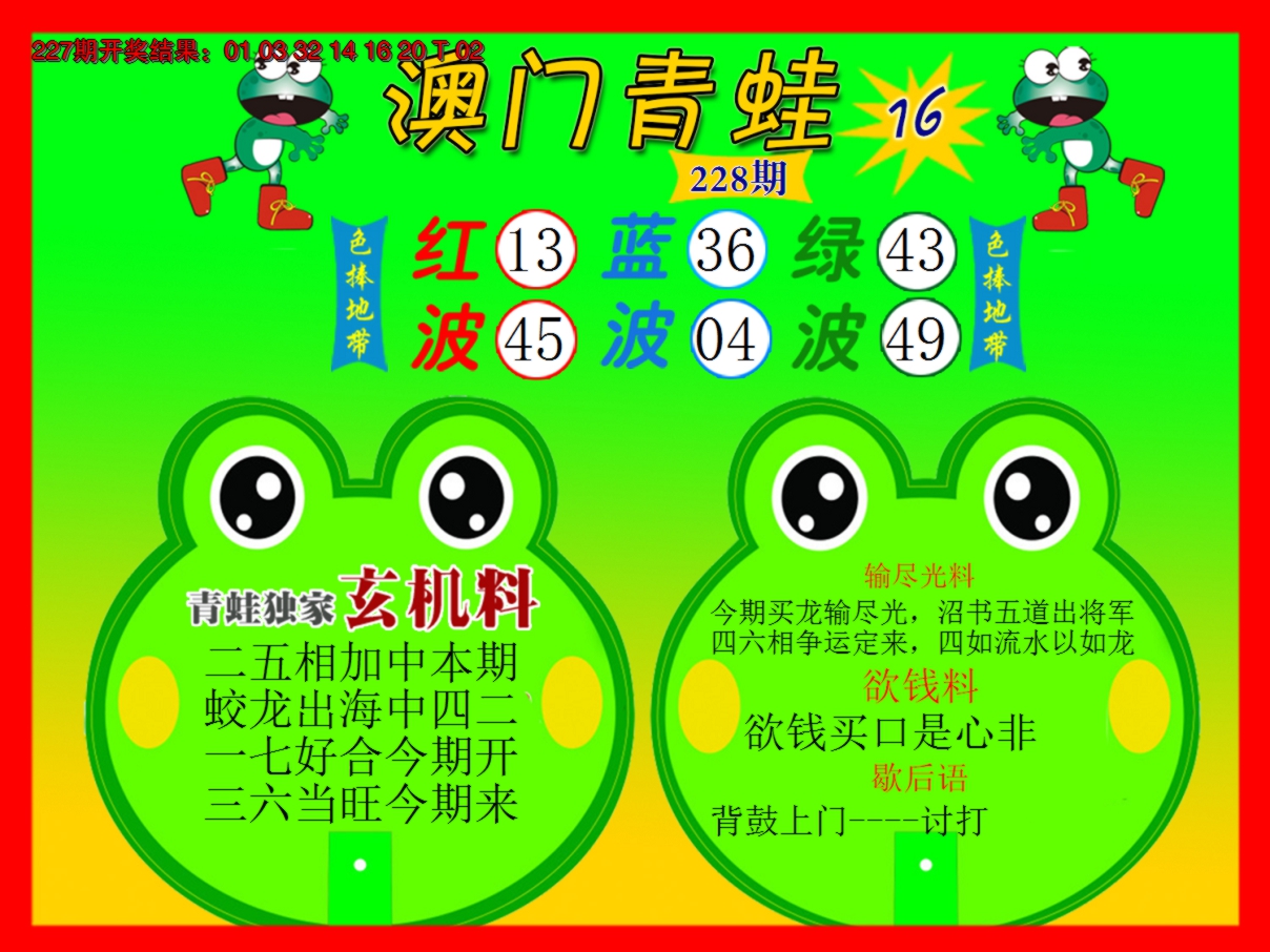 2024228期青蛙系列16