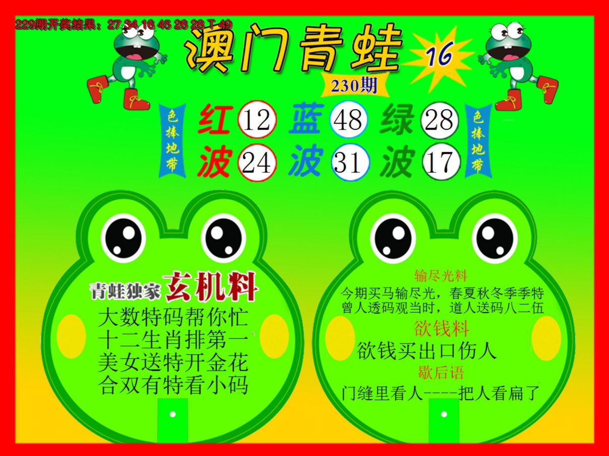 2024230期青蛙系列16