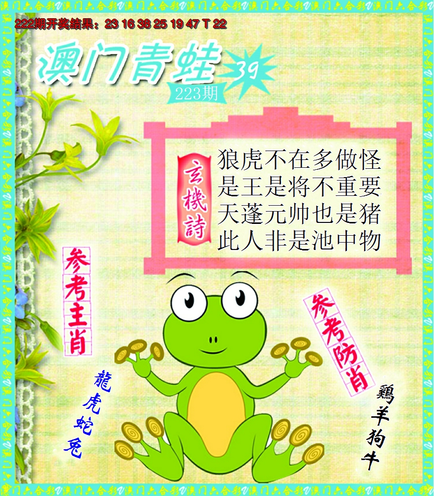 2024223期青蛙系列39