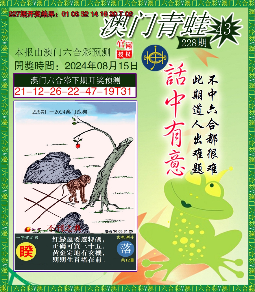 2024228期青蛙系列43