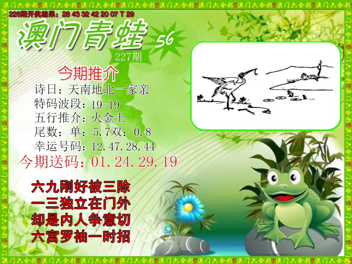 2024227期青蛙系列56