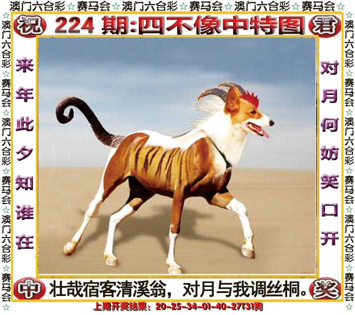 2024224期四不像中特图