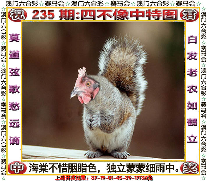 2024235期四不像中特图