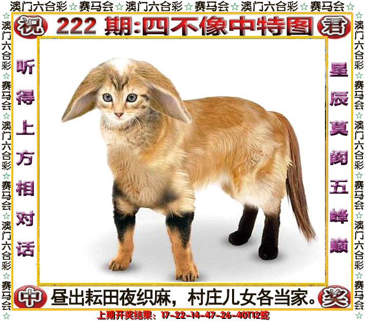 2024222期四不像中特图