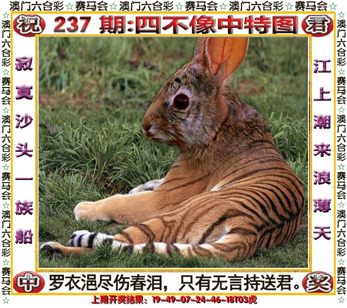 2024237期四不像中特图