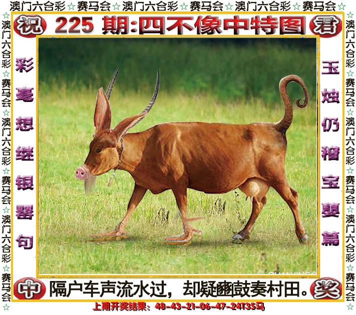 2024225期四不像中特图