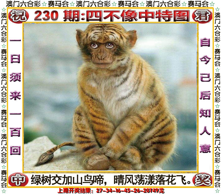 2024230期四不像中特图