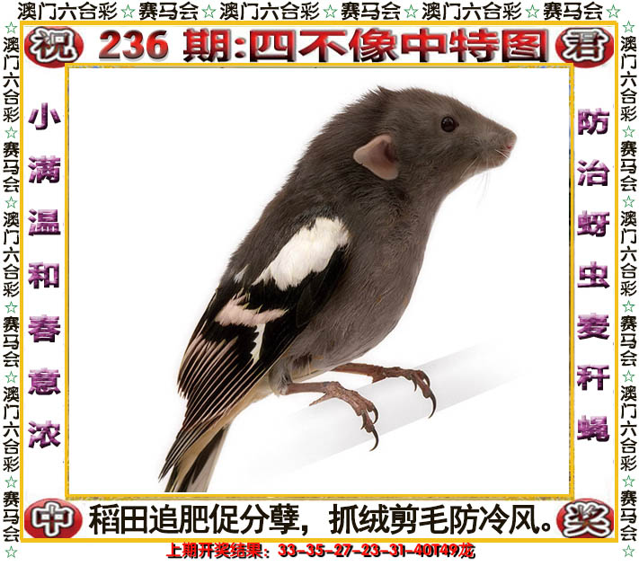 2024236期四不像中特图