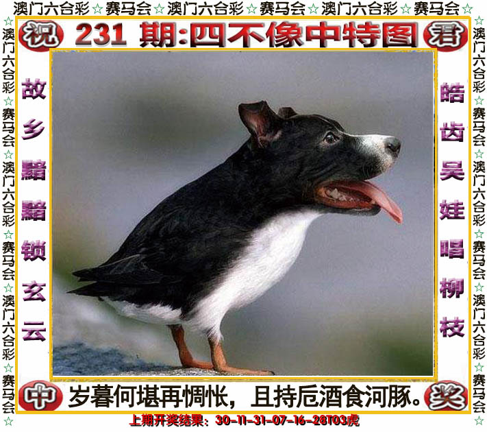 2024231期四不像中特图