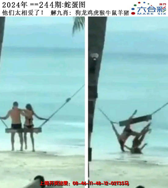 2024244期正版蛇蛋图