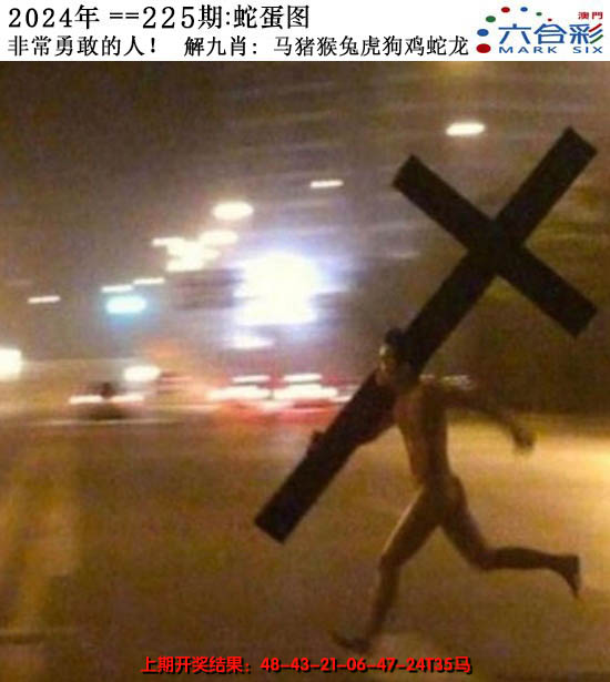 2024225期正版蛇蛋图