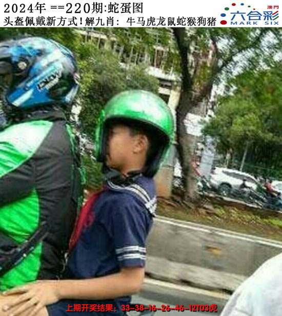 2024220期正版蛇蛋图