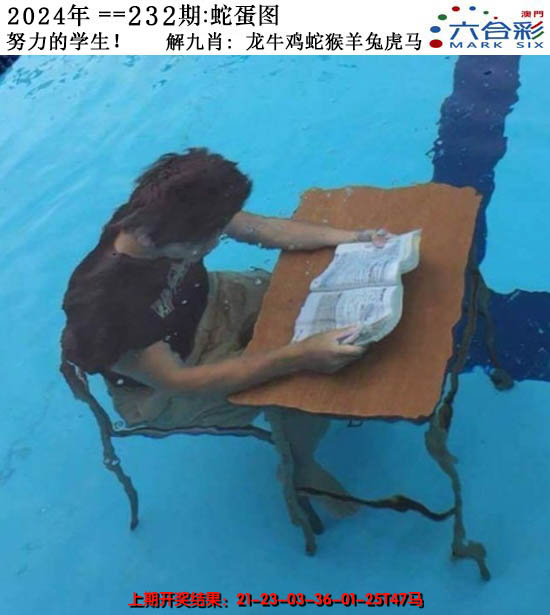 2024232期正版蛇蛋图