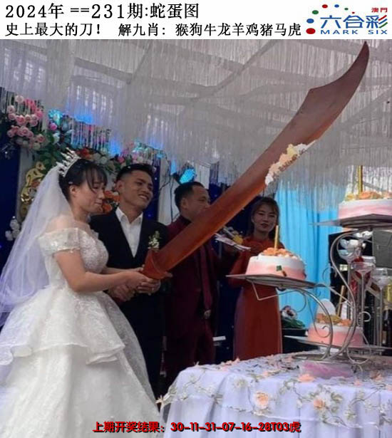 2024231期正版蛇蛋图