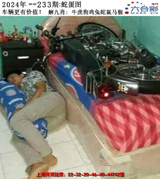 2024233期正版蛇蛋图