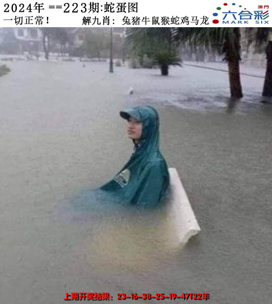 2024223期正版蛇蛋图