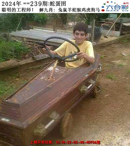 2024239期正版蛇蛋图