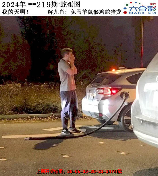 2024219期正版蛇蛋图