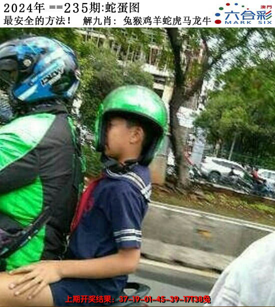 2024235期正版蛇蛋图