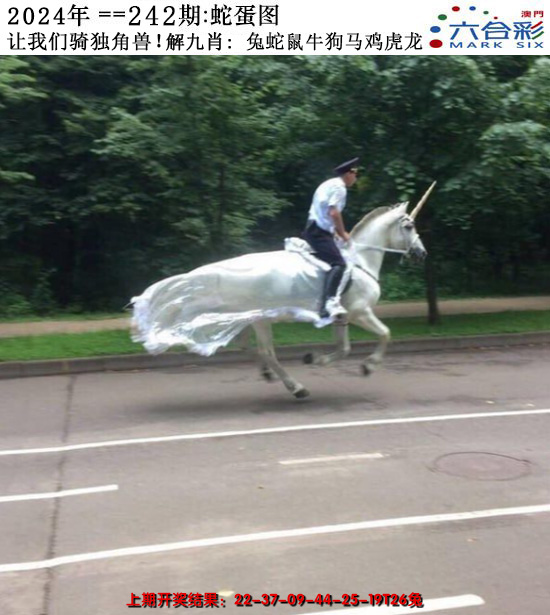 2024242期正版蛇蛋图