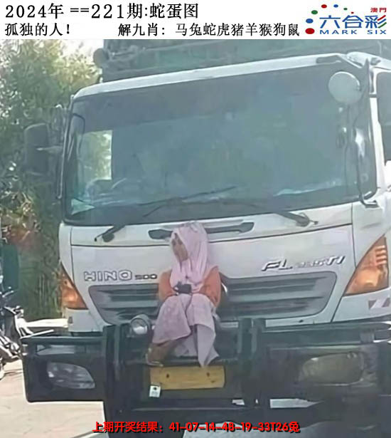 2024221期正版蛇蛋图