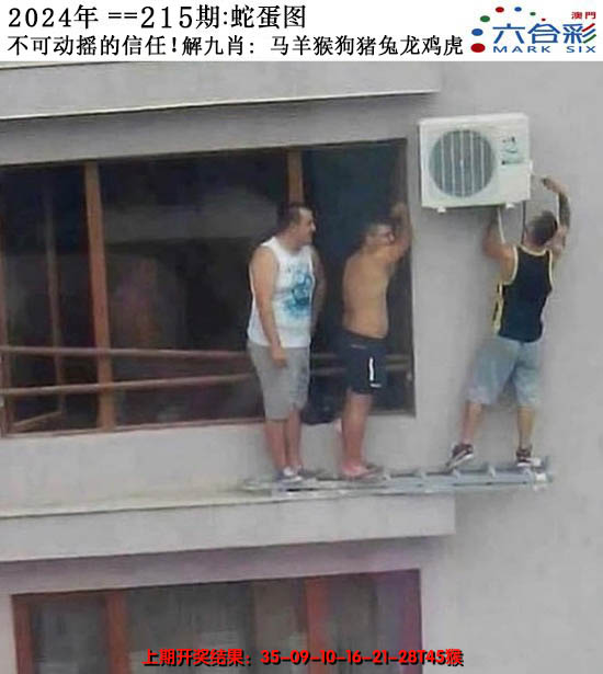 2024215期正版蛇蛋图
