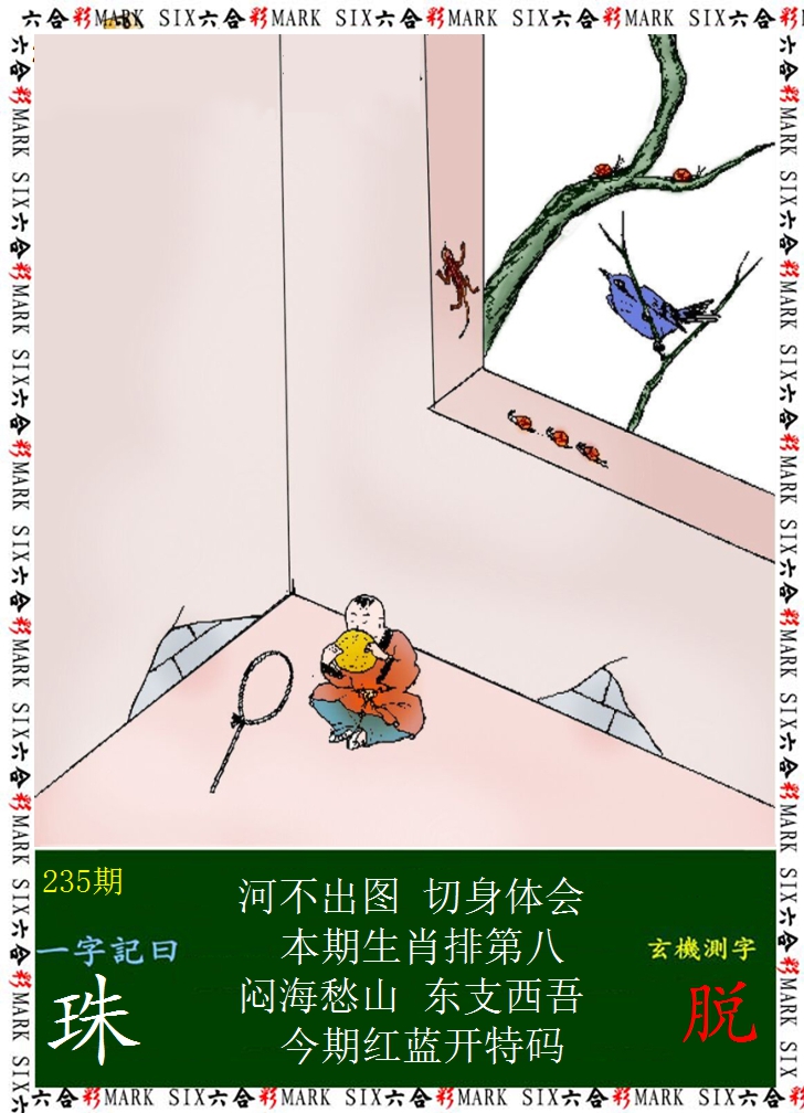 2024235期悟入其图