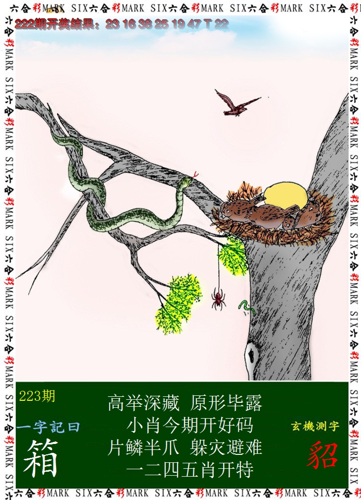 2024223期悟入其图
