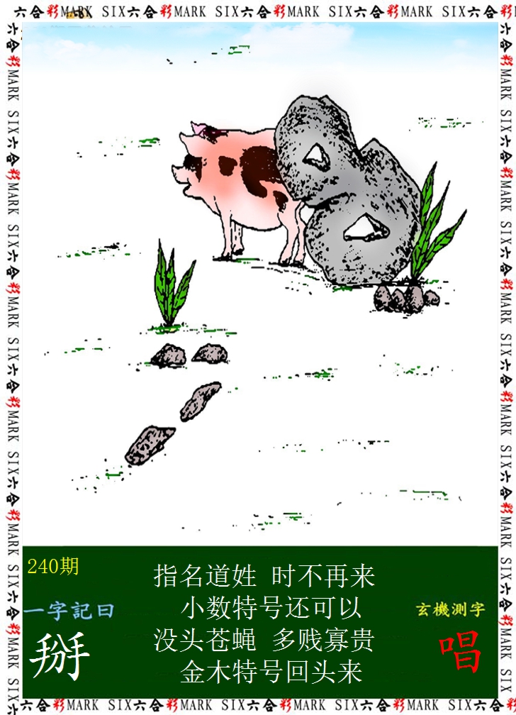 2024240期悟入其图
