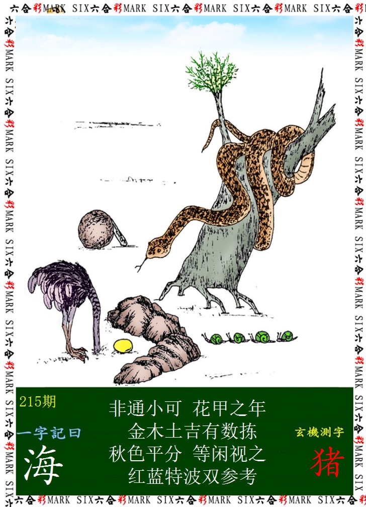 2024215期悟入其图