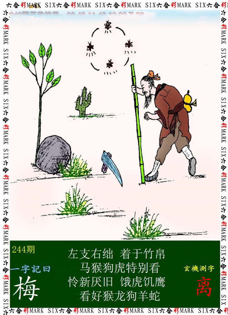 2024244期悟入其图