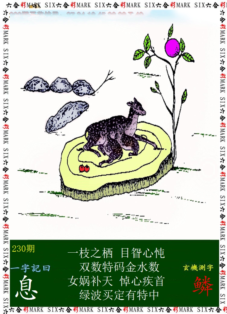 2024230期悟入其图