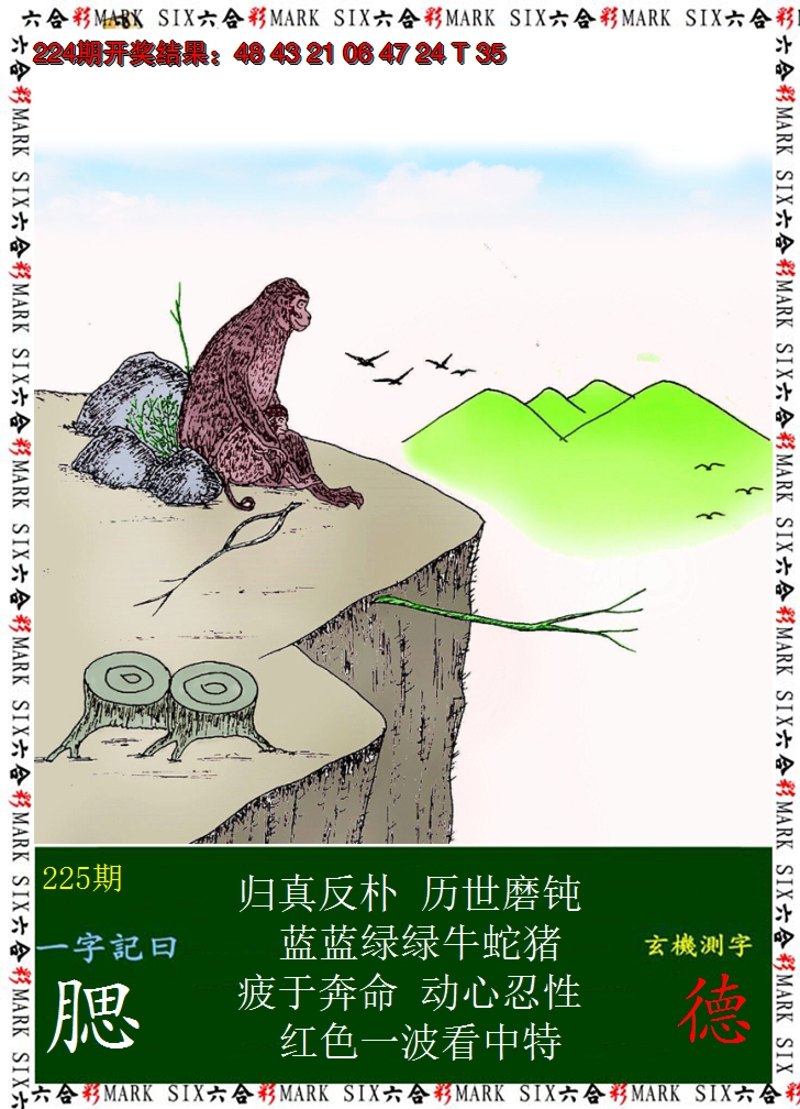 2024225期悟入其图