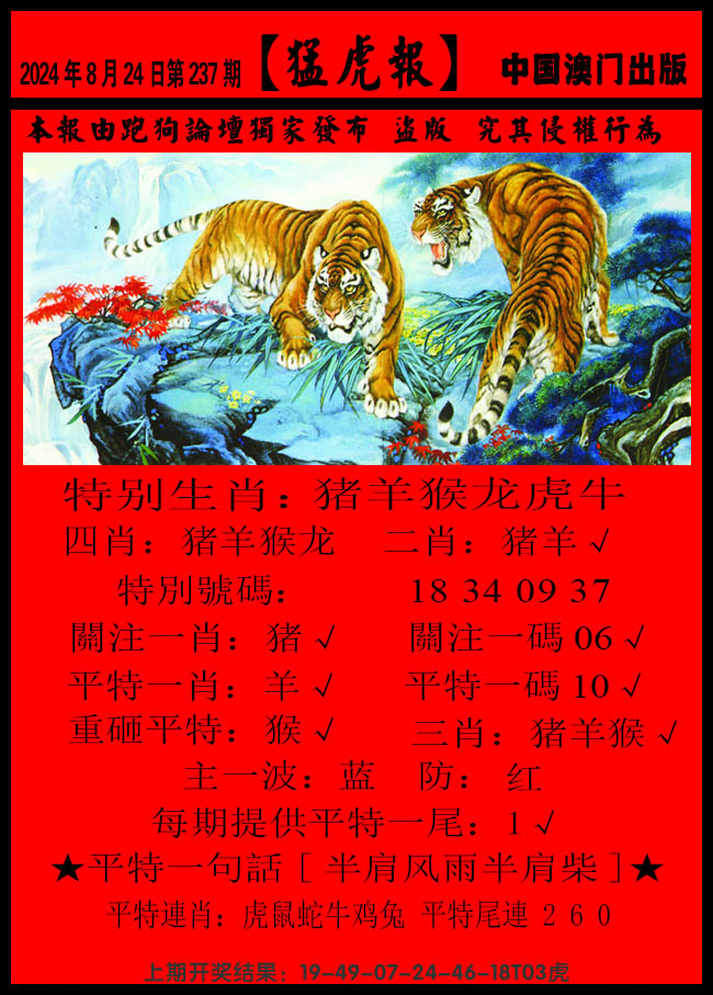 2024237期猛虎报B