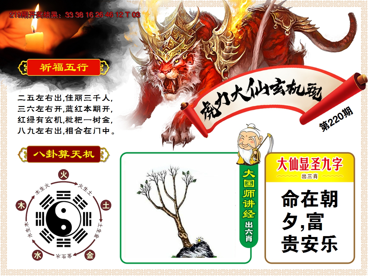 2024220期虎力大仙