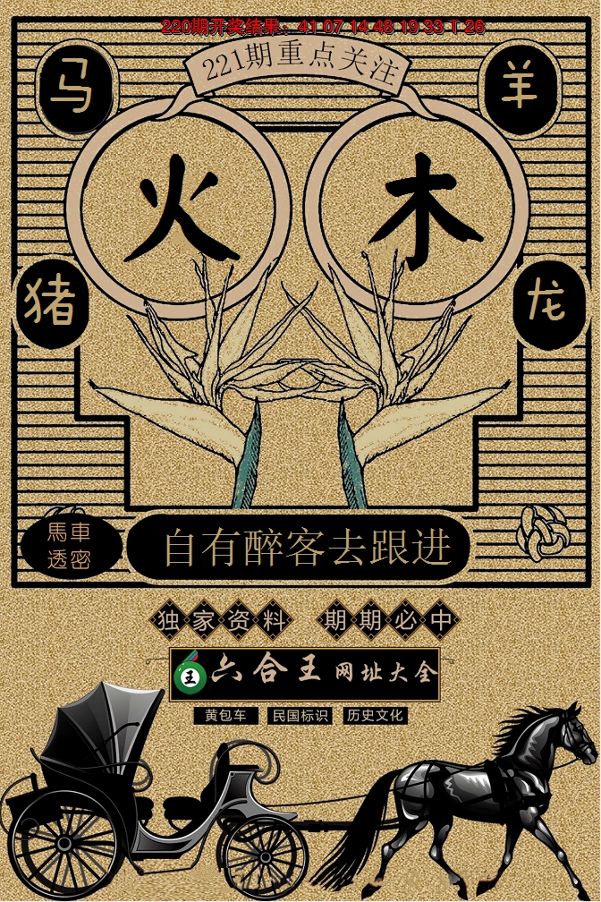 2024221期六合王马车透密