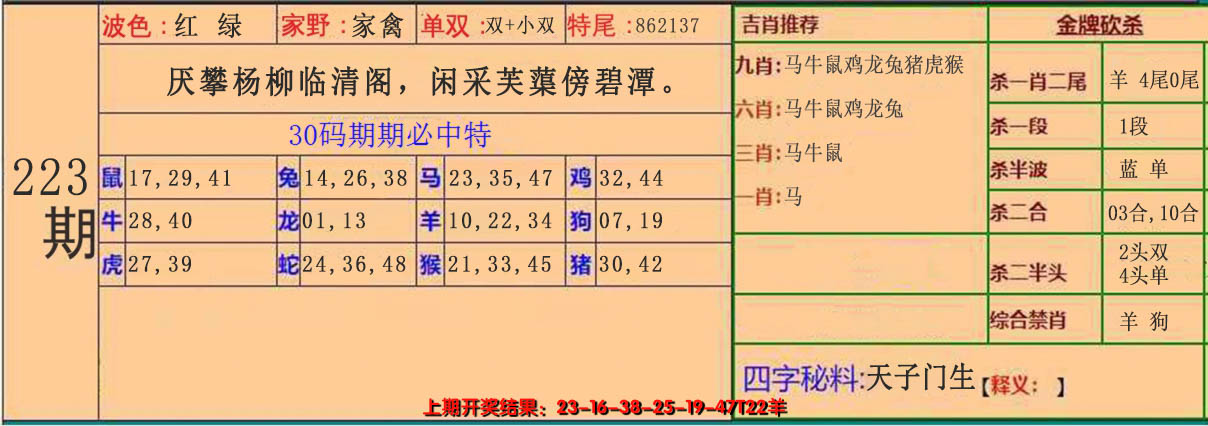 2024223期30码中特