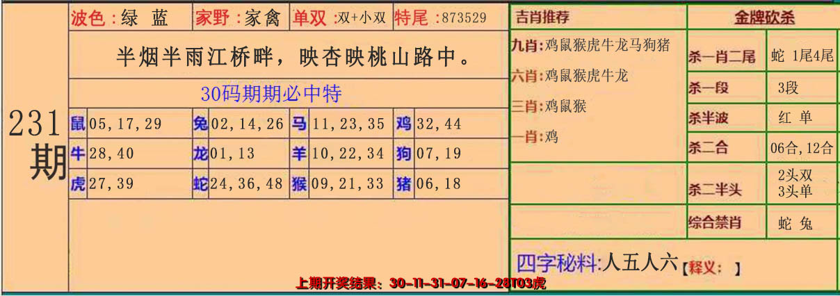 2024231期30码中特