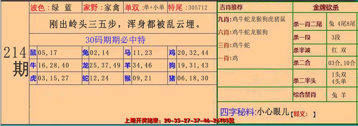 2024214期30码中特