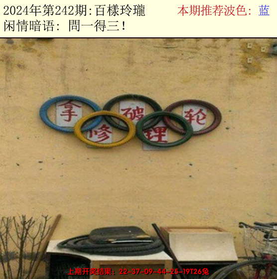 2024242期今日闲情2