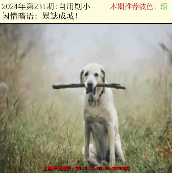 2024231期今日闲情2
