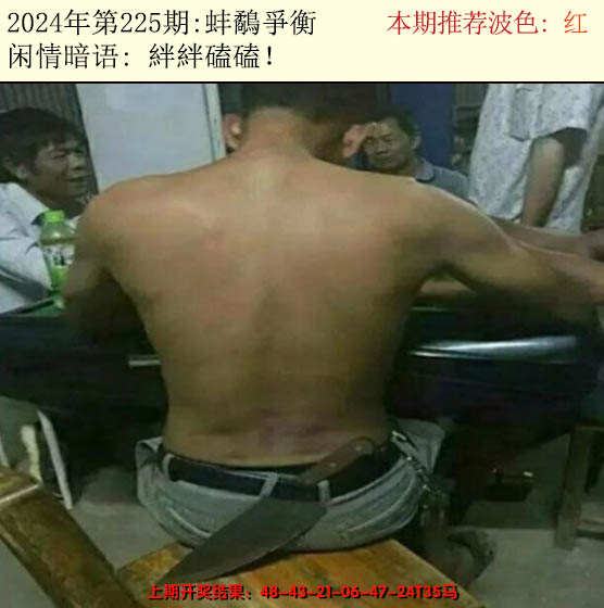 2024225期今日闲情2