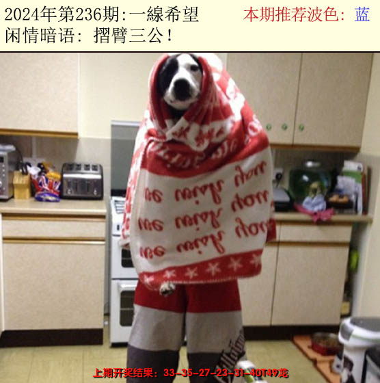 2024236期今日闲情2