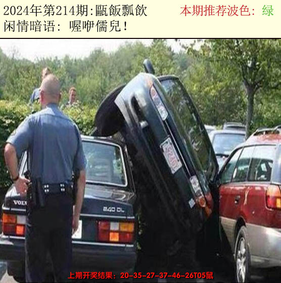 2024214期今日闲情2