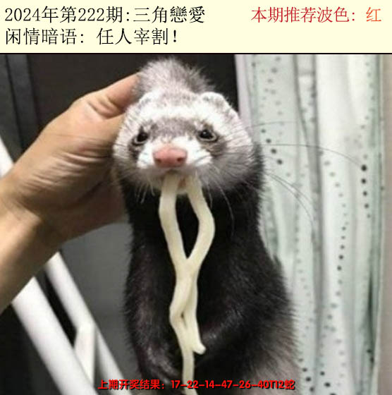 2024222期今日闲情2