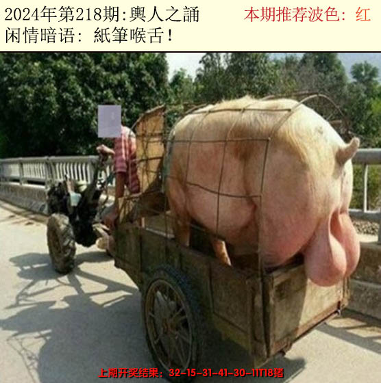 2024218期今日闲情2