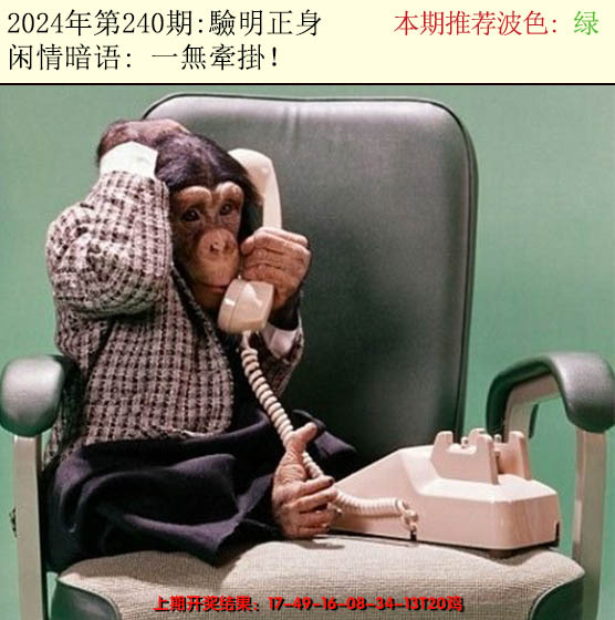 2024240期今日闲情2