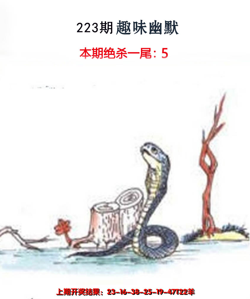 2024223期趣味幽默