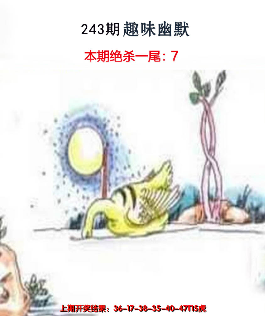 2024243期趣味幽默