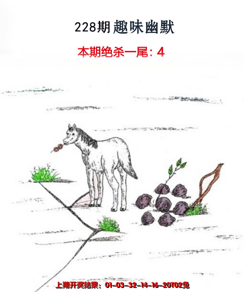2024228期趣味幽默